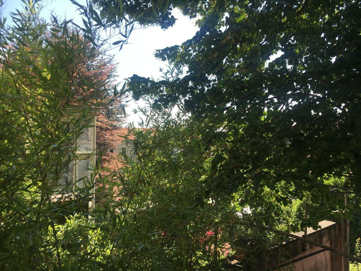 Il Ricciolo B&B Torino Dış mekan fotoğraf
