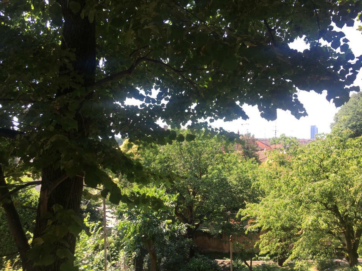 Il Ricciolo B&B Torino Dış mekan fotoğraf